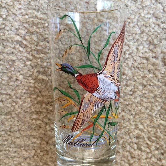 RARE! Vintage (Set of 8) Wild Fowl Glasses - Picture 3 of 9